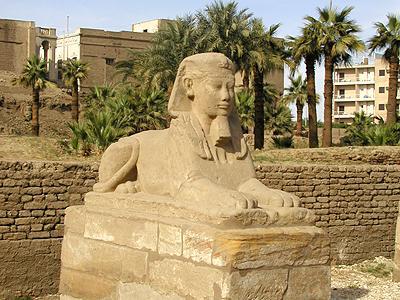 сфинкс, храм в Луксоре (Луксорский храм), Луксор, Египет